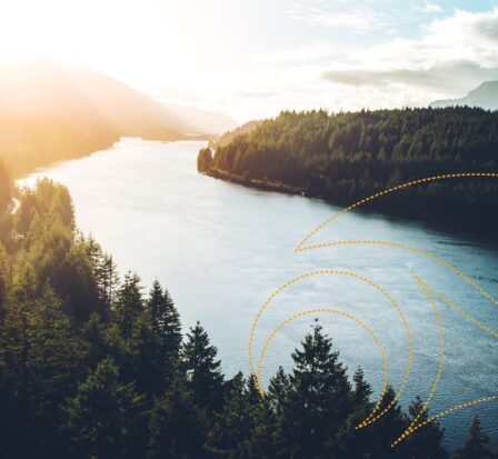 River bordered by pine forests with sun setting in background.
