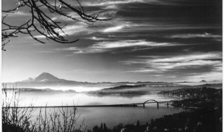 Mount Rainier and Lake Washington from Madrona neighborhood, Seattle, 1960.