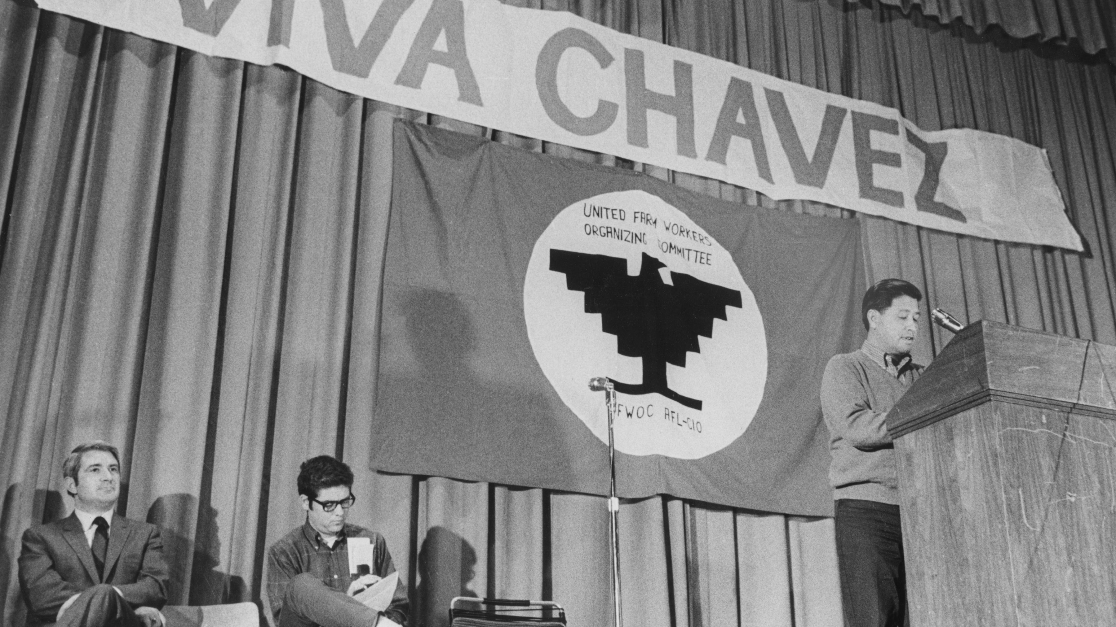 Person standing at a podium with a microphone in from of a "VIVA CHAVEZ" sign and a United Farm Workers Organizing Committee sign.