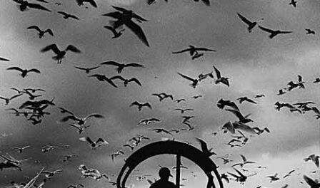 A garbage dump with hundreds of birds.