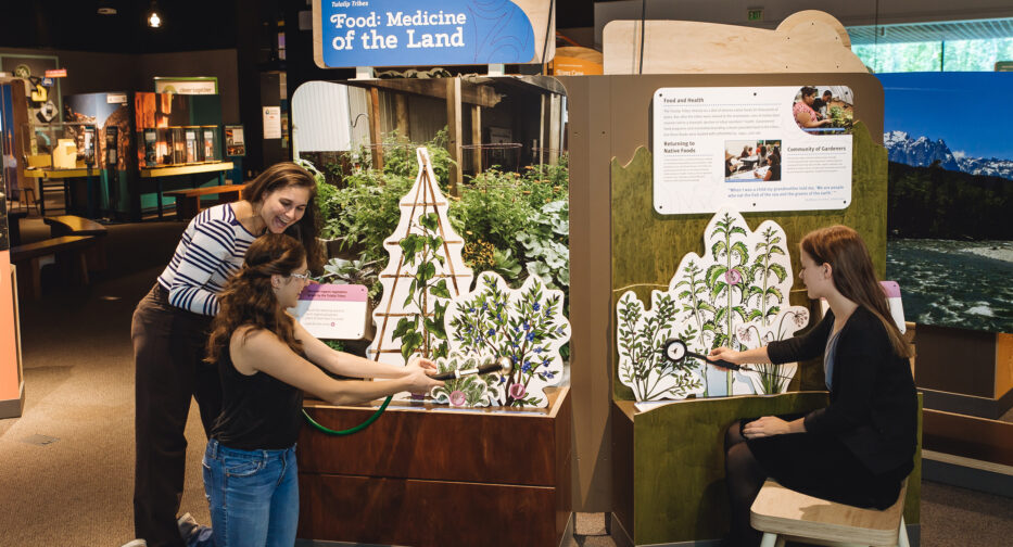 People interacting with various drawings of plants.