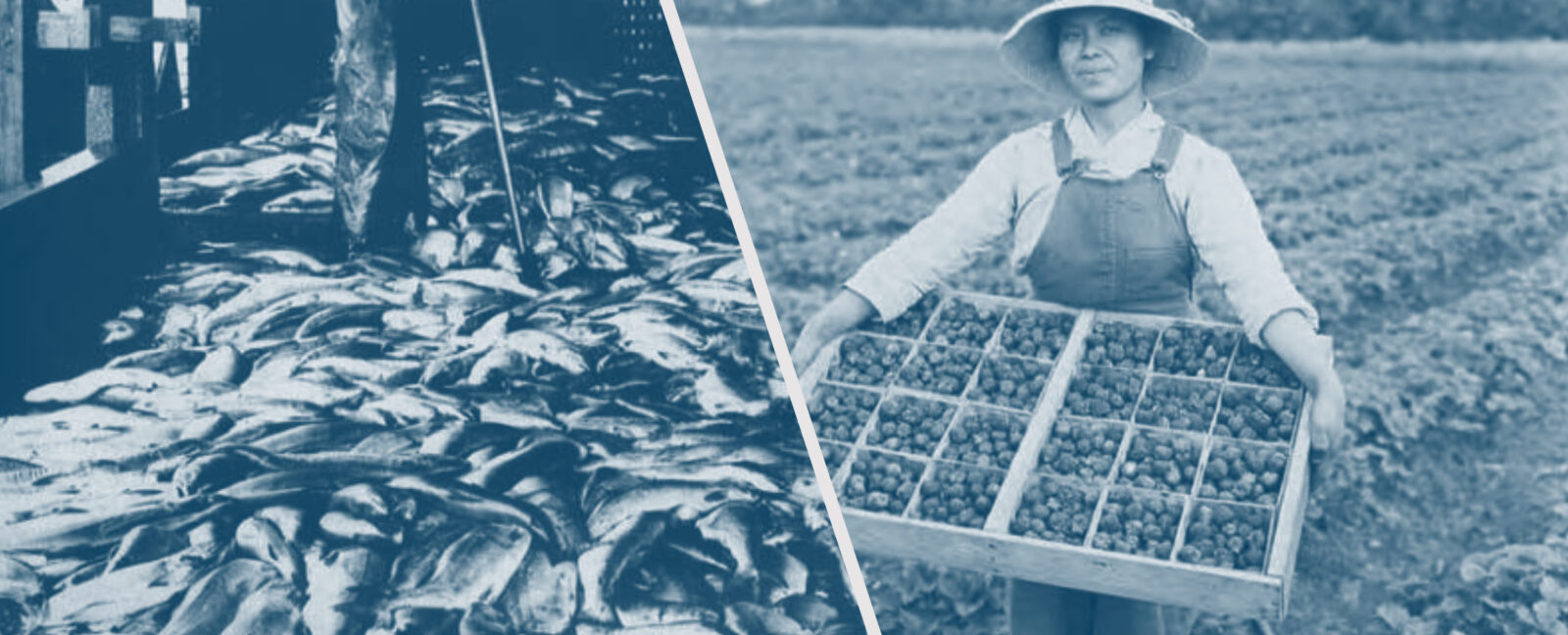 Man on the left stand amidst a floor covered in fish. Woman on the right holds a 24-sectioned box full of produce.