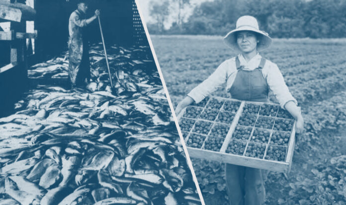 Man on the left stand amidst a floor covered in fish. Woman on the right holds a 24-sectioned box full of produce.
