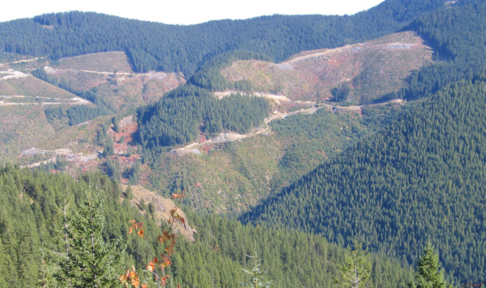Sweeping view of Pacific Northwest countryside with rolling hills and pine forests.