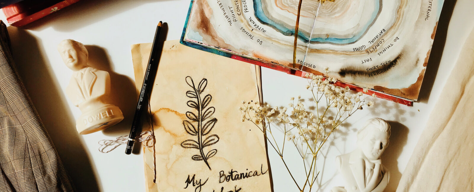 A collage of items including a botanical sketchbook