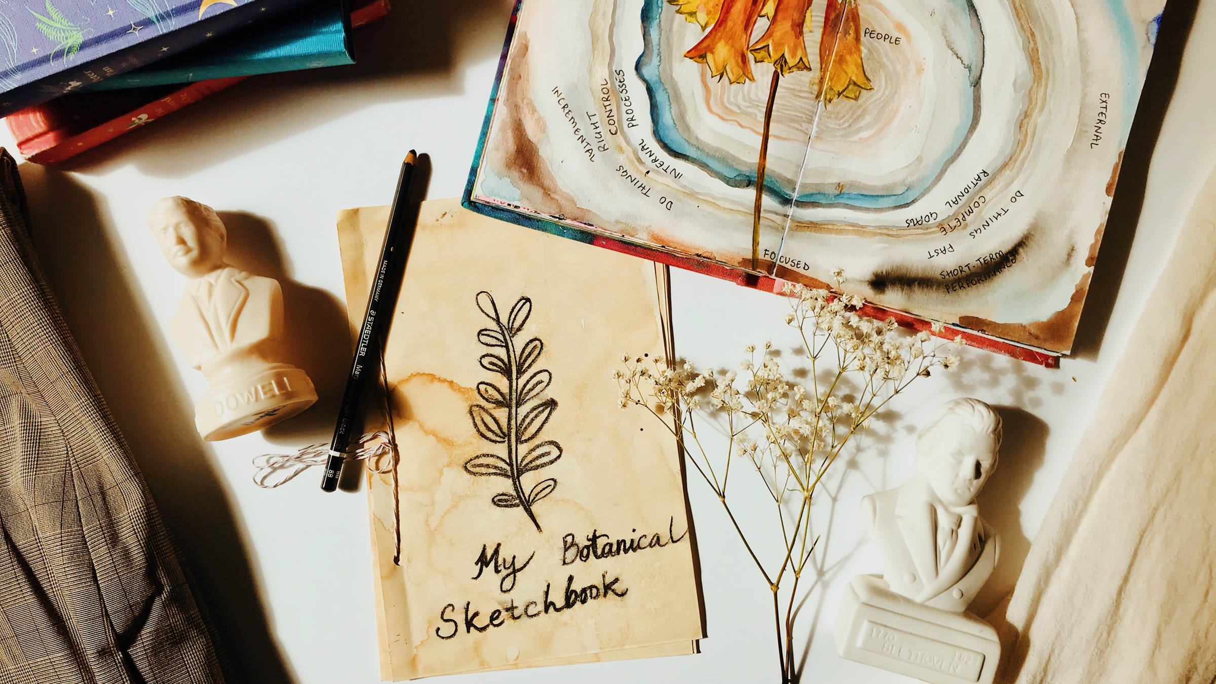 A collage of items including a botanical sketchbook