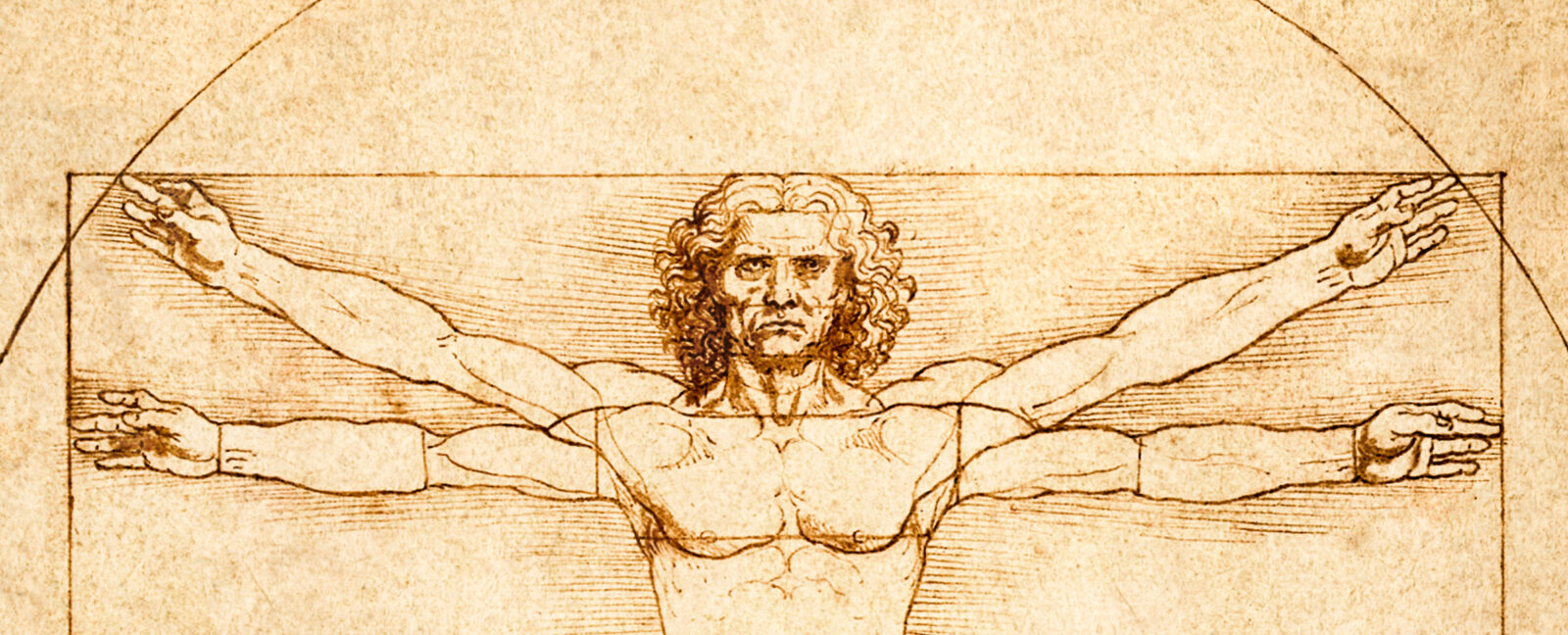 Leonardo da Vinci's Vitruvian Man sketch.