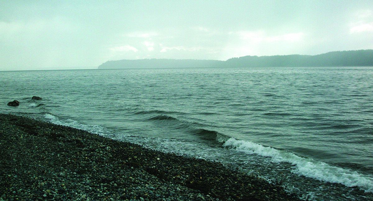 View of Puget Sound from the beach.
