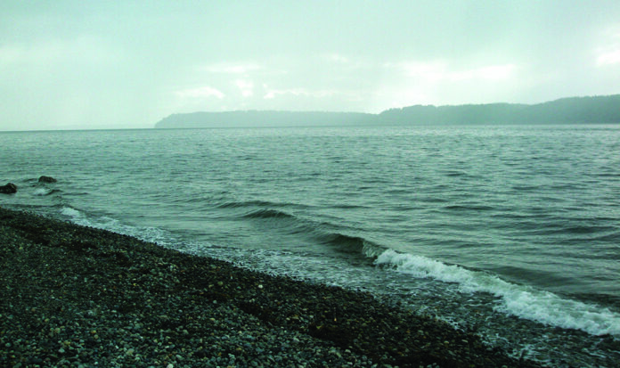 View of Puget Sound from the beach.