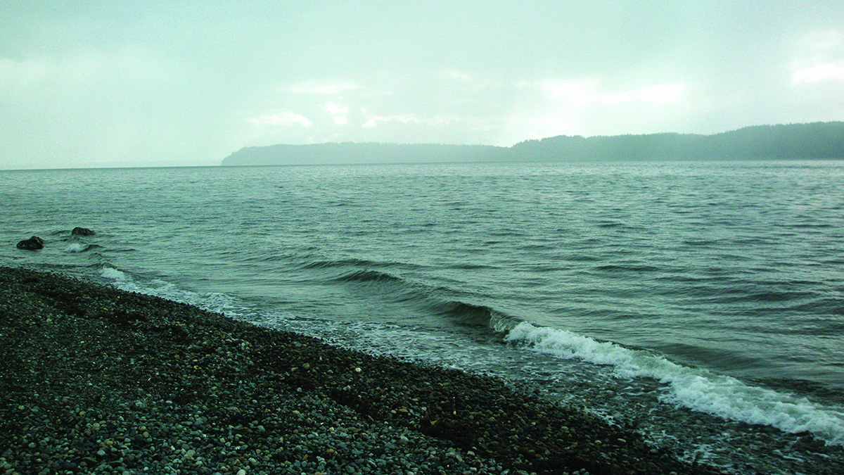 View of Puget Sound from the beach.