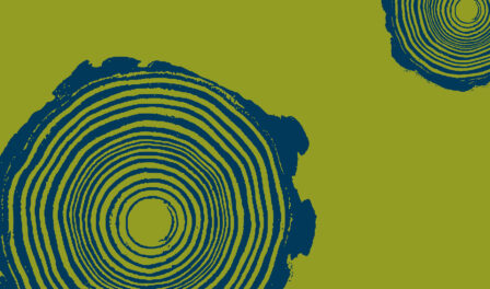 Vector art illustrating Coast Salish Culture Digital Museum Trunk.