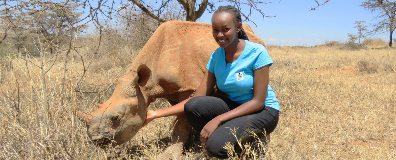 Girl in blue shirt and black pants kneels next to a rhinoceros.