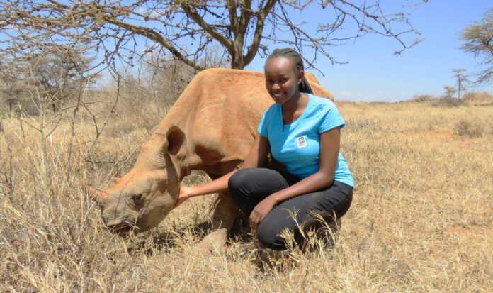 Girl in blue shirt and black pants kneels next to a rhinoceros.