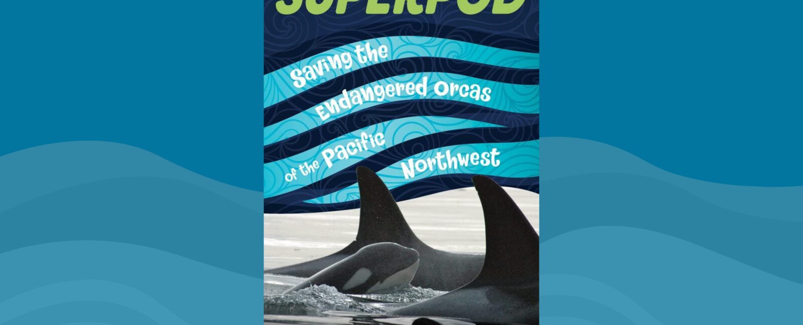 SuperPod: Saving the Endangered Orcas of the Pacific Northwest Book Cover