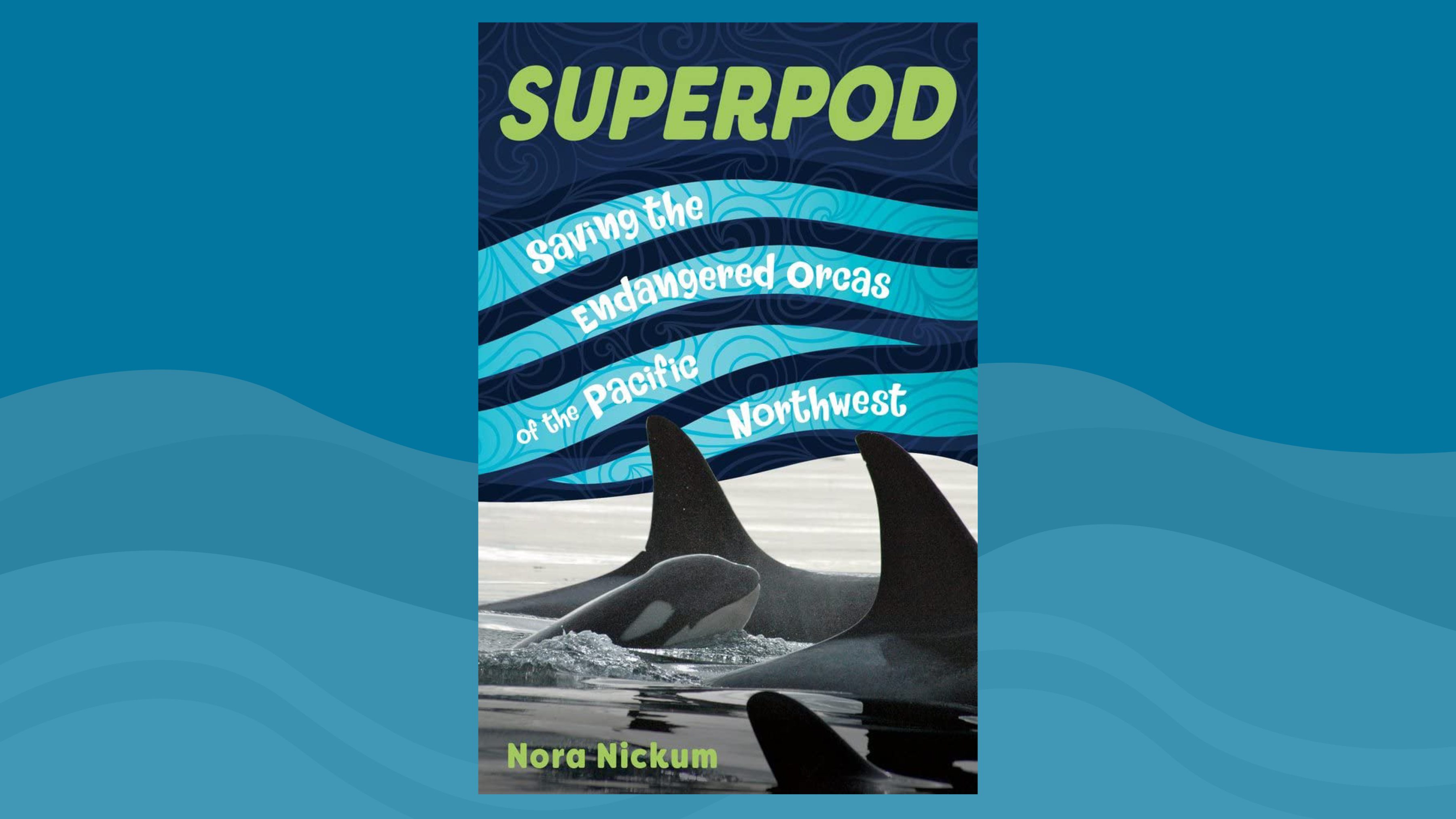 SuperPod: Saving the Endangered Orcas of the Pacific Northwest Book Cover