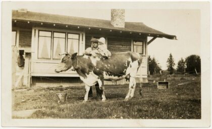 Franz Hardow holding his daughter on a cow, circa 1926 in front of their single story home.