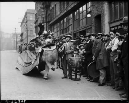 Black and white photograph of a crowd of people standing on a sidewalk watching a Chinese Lion Dance in the street