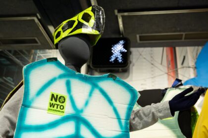 Close-up of a protest costume from the 1999 Seattle WTO protests, featuring a turtle shell made from painted cardboard and a 'No WTO' sticker, displayed on a mannequin in a museum exhibit.
