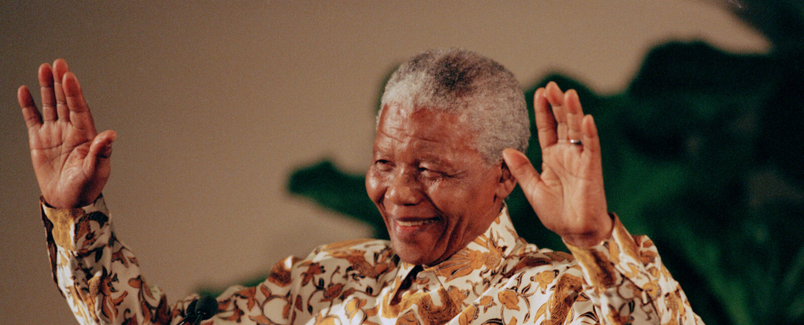 Nelson Mandela acknowledges his audience during a speech.