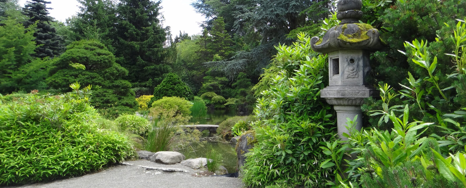 A pond and surrounding green space at the Kubota Garden in Seattle, WA.