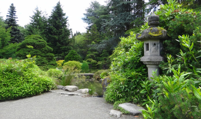 A pond and surrounding green space at the Kubota Garden in Seattle, WA.