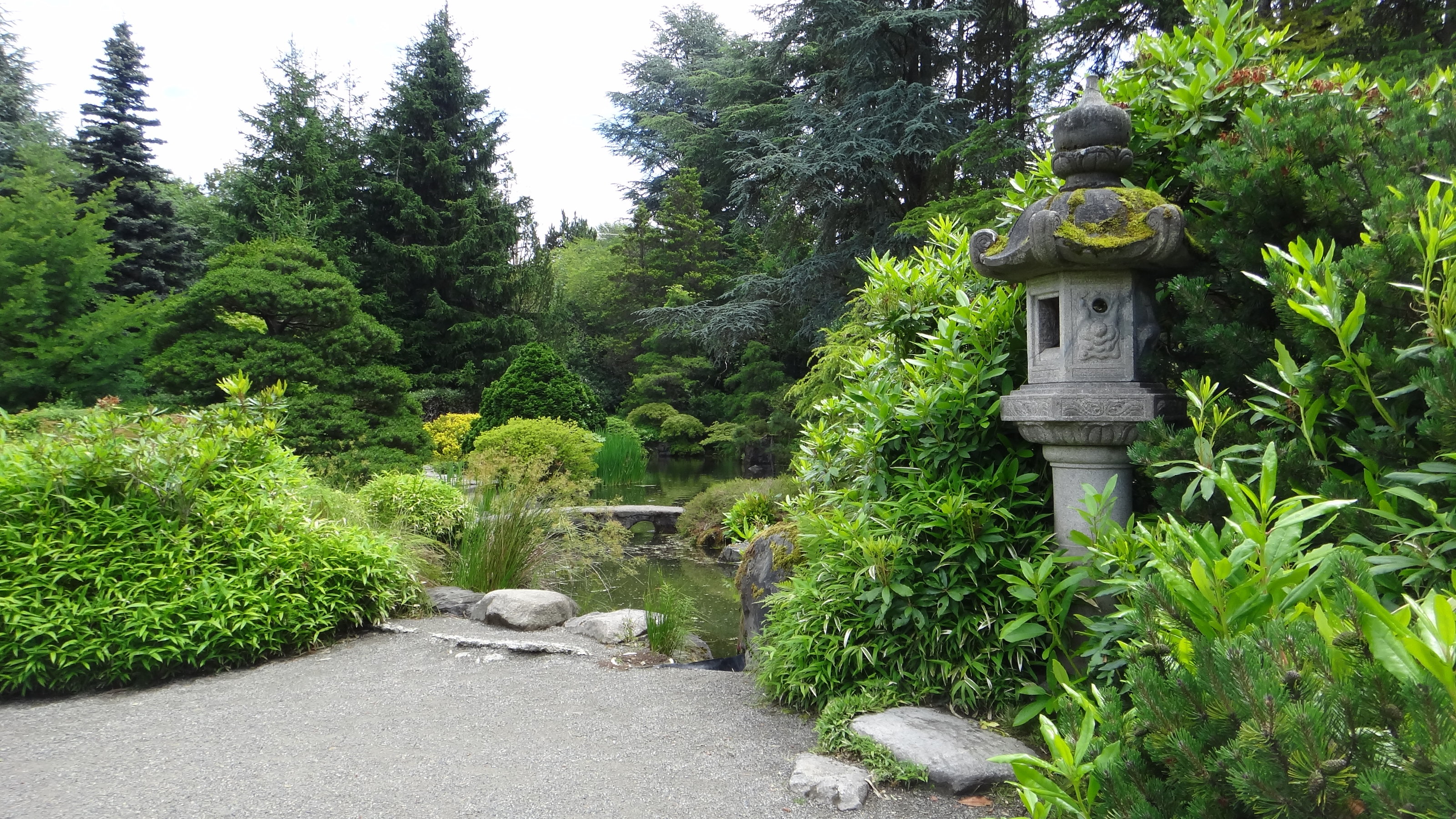 A pond and surrounding green space at the Kubota Garden in Seattle, WA.