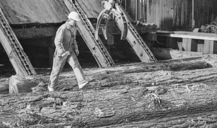 Employee at Barbee Mill Co., Renton, March 9, 1993