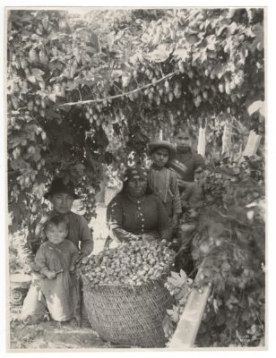 Black and white photograph of an Indigenous family in hop fields.